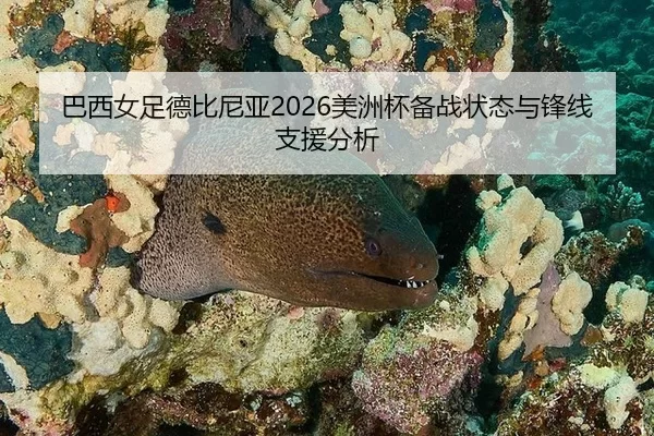 巴西女足德比尼亚2026美洲杯备战状态与锋线支援分析